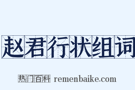 赵君行状组词是什么意思的图片
